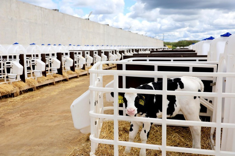 Fresh milk production in the first six months of 2023 reached 662,800 tonnes. 