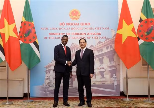 Vietnamese Minister of Foreign Affairs Bui Thanh Son (R) and Dominican Minister for Foreign Affairs, International Business, Trade and Energy Vince Henderson at their meeting in Hanoi on March 20. (Photo: VNA)