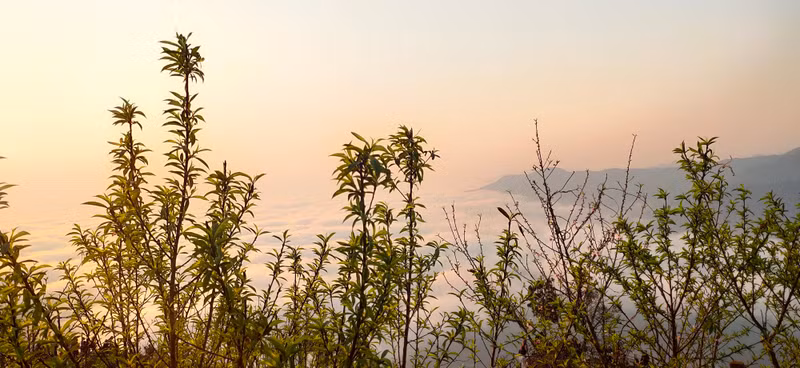 Peach flowers make spring more beautiful.