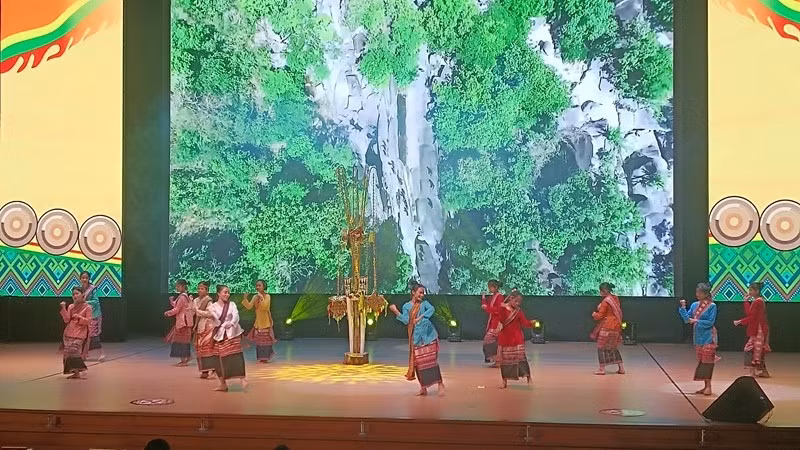 The performances were diverse and rich in both content and form.