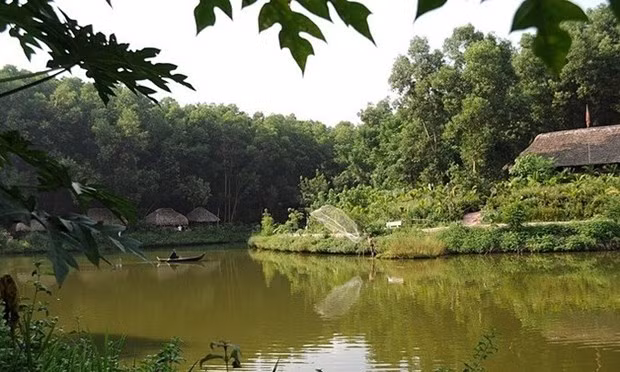 Illustrative image (Photo: thaihai.vn)