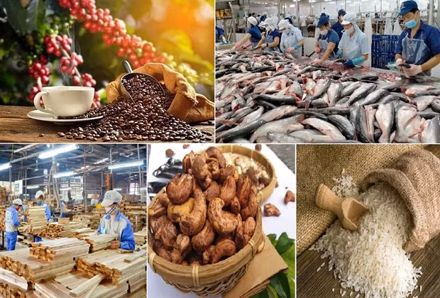 Agro-forestry-fishery exports reach 3.7 bln USD in January (Photo: VNA) 