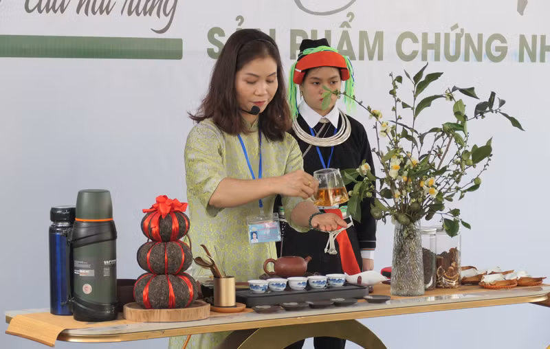 The competition on tea-making techniques.