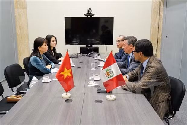 Outgoing Vietnamese Ambassador to Brazil and Peru Pham Thi Kim Hoa at the working session with representatives of the Peruvian Ministry of Foreign Affairs (Photo: VNA)