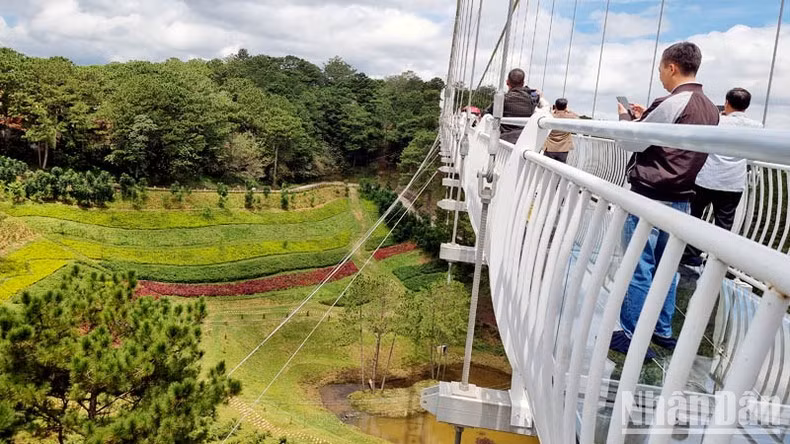 Below the glass bridge is a pine forest and flower gardens.
