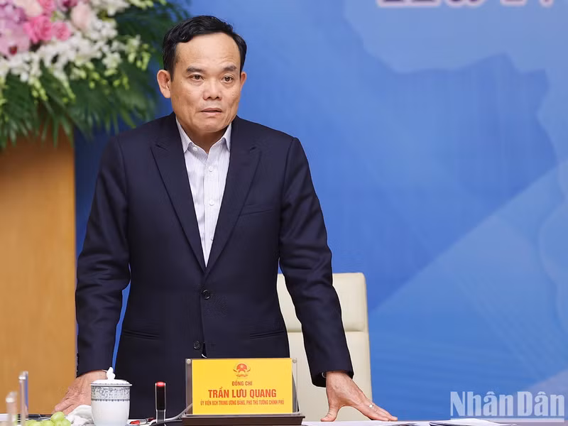 Deputy Prime Minister Tran Luu Quang speaks at the conference.