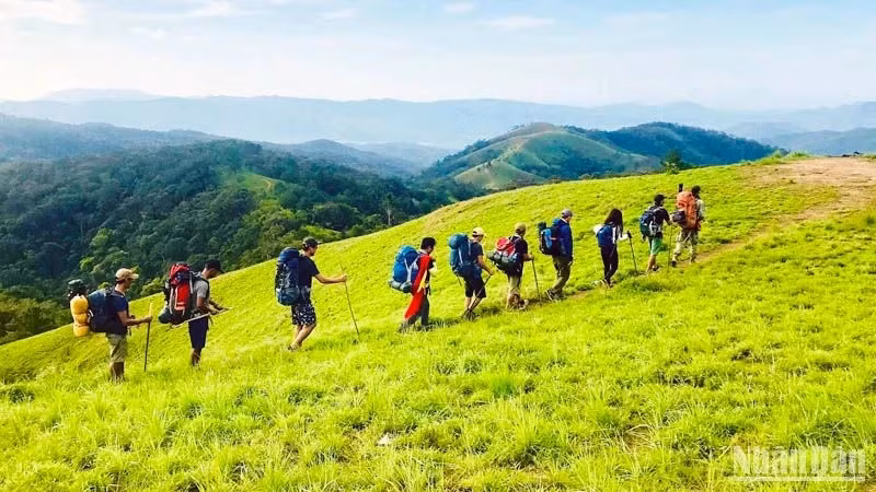 Visitors conquer the Ta Nang – Phan Dung trekking path. (Photo: Van Bao)