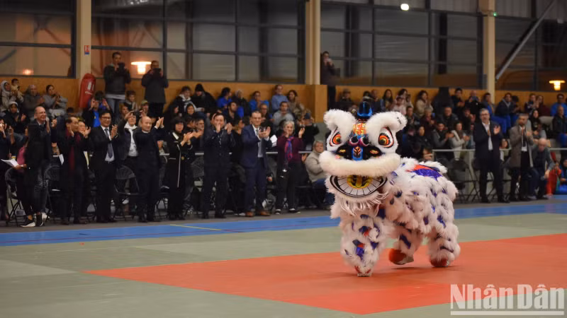 From a folk art form combining martial arts with entertainment features, lion and dragon dancing has become a competitive sport, encouraging practitioners to improve their physical health, stature, and power. From a folk art form combining martial arts with entertainment features, lion and dragon dancing has become a competitive sport, encouraging practitioners to improve their physical health, stature, and power.