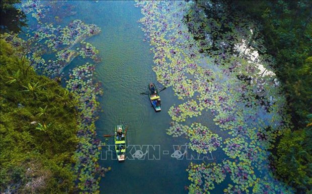 Boats sail to Thung Nang (Sunshine Valley), a tourist attraction in Ninh Binh (Photo: VNA)