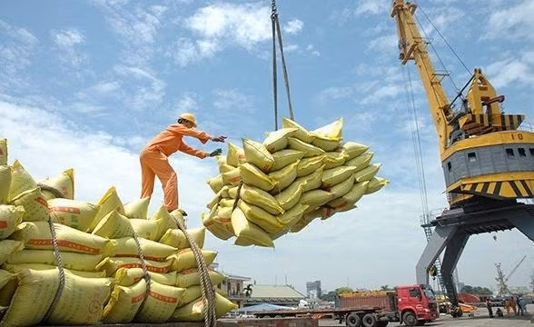 Vietnam remains the biggest rice provider of the Philippines. (Photo: VNA)