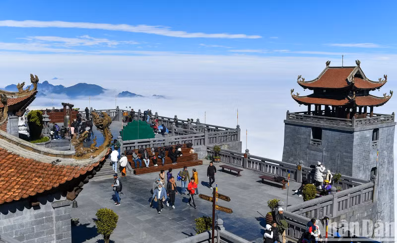 Standing on the highest peak of Indochina during this time, visitors can view the sea of clouds stretching to the horizon, hidden by the immense green of Hoang Lien Son mountains and forests. The scene is as beautiful as a fairyland.