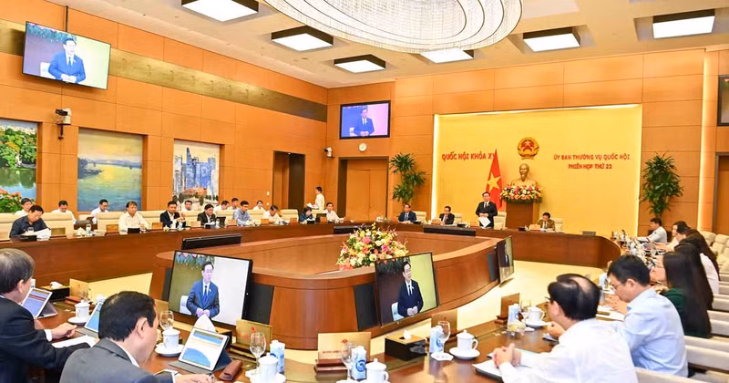 An overview of the session