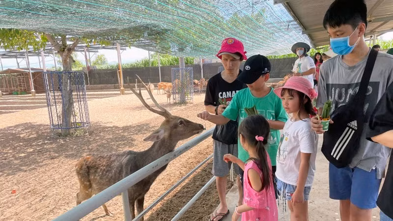 Visitors to Tien Tien Farm and Zoo in Ninh Thuan Province.