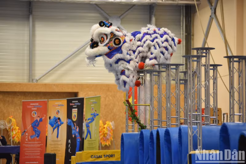 The lion dance acts are particularly difficult with performances on high pillars that require careful training and stable mentality. The lion dance acts are particularly difficult with performances on high pillars that require careful training and stable mentality.