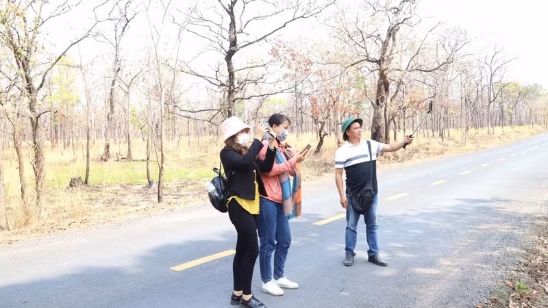 Many young people are also excited by the beauty of the khop forest in the dry season. Many young people are also excited by the beauty of the khop forest in the dry season.