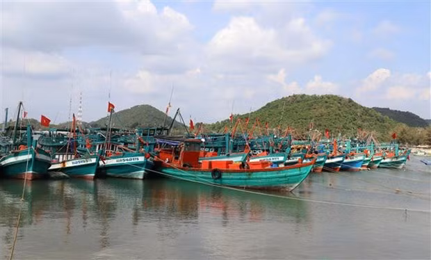 Vietnam issues plan of action, strives to put end to IUU fishing