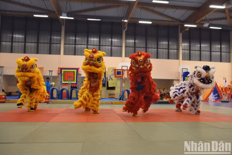 Lion and dragon dances are a combination of spiritual beauty, traditional martial arts, and the excitement of drums and cymbals. Lion and dragon dances are a combination of spiritual beauty, traditional martial arts, and the excitement of drums and cymbals.