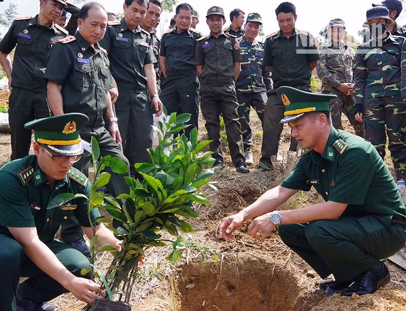 Vietnamese officers directly guide the technique of planting and caring for trees at the planting site.