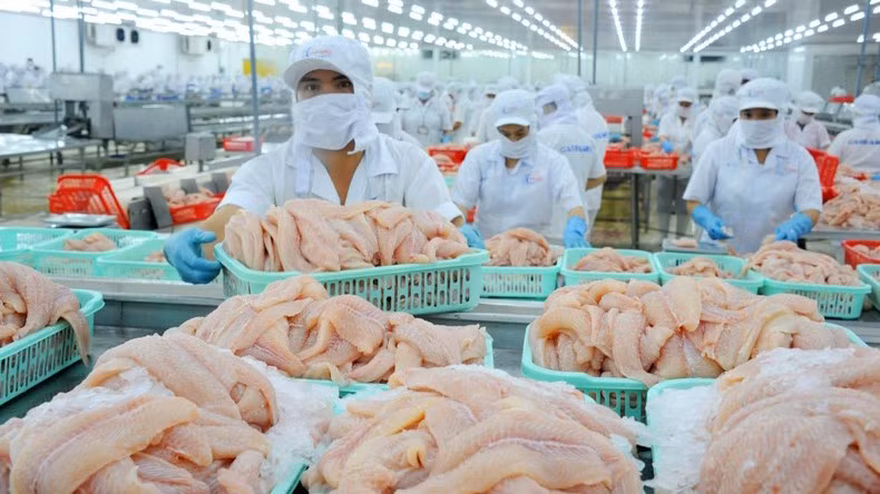 Seafood is a potential export commodity to the Chinese market. (Photo: LE HOANG VU)