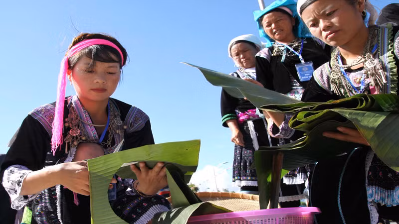 The locals prepare banana leaves to wrap the cake.