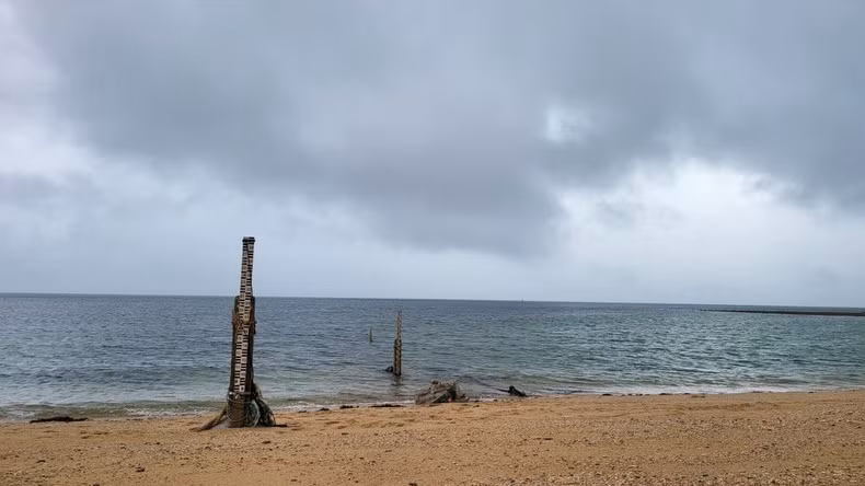 The water column at the Bach Long Vy meteorological station The water column at the Bach Long Vy meteorological station