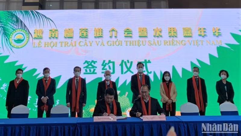 The two sides sign cooperation agreements on fruit import-export. (Photo: NDO) The two sides sign cooperation agreements on fruit import-export. (Photo: NDO)