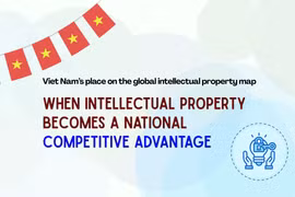 When intellectual property becomes a national competitive advantage