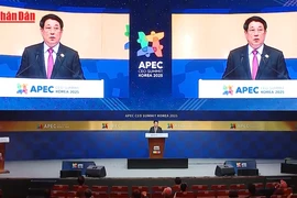 Video: Draft documents of 14th National Congress emphasise key role of foreign affairs 