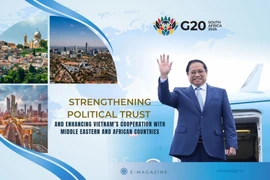 Strengthening political trust and enhancing Viet Nam’s cooperation with Middle Eastern and African countries