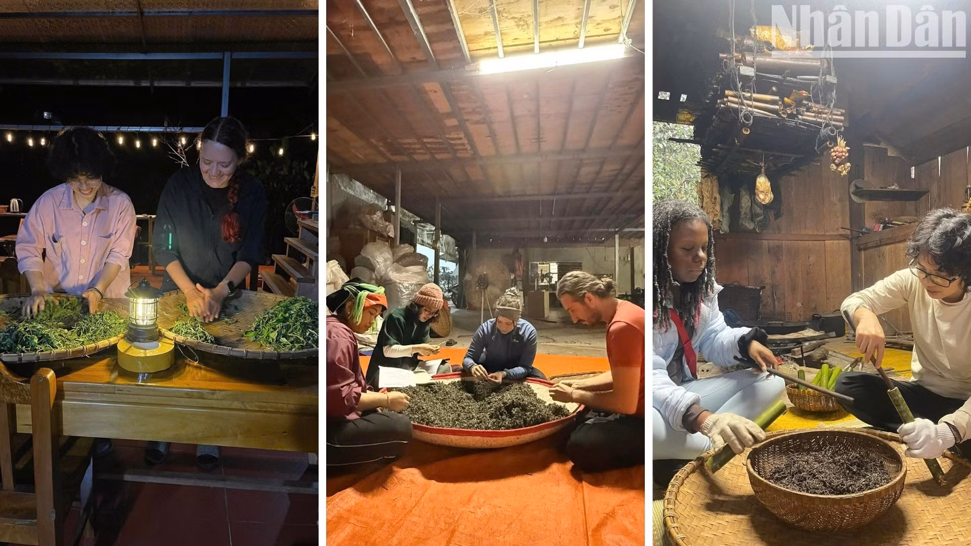 Chang Thi Bich said that during the tea production season, many foreign visitors spend a considerable amount of time staying in Lung Tao Village to take part themselves in every stage of production and learn how to make a properly crafted batch of tea using the traditional methods of the Dao people.