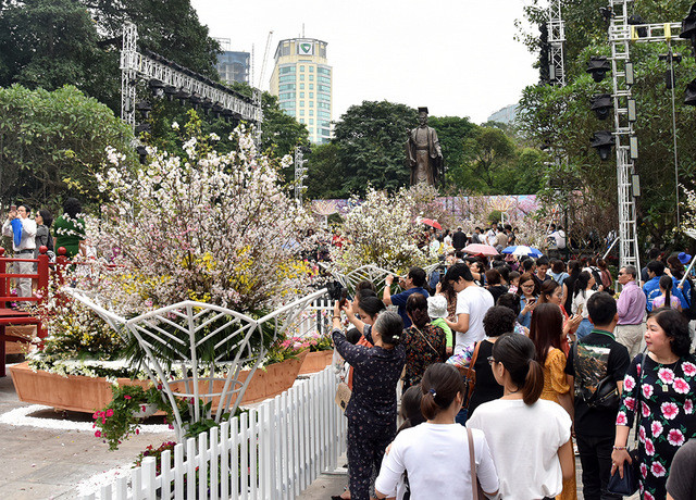 2019 Japanese cherry blossom festival opens in Hanoi ảnh 3
