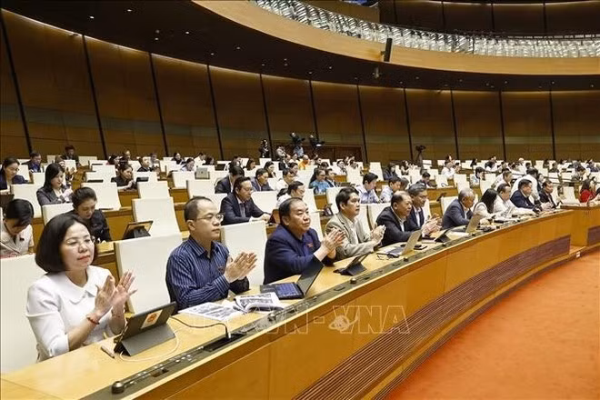 Deputies at the meeting (Photo: VNA)