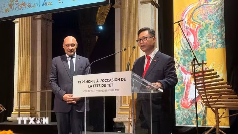 Ambassador Trinh Duc Hai speaks at the event (Photo: VNA)