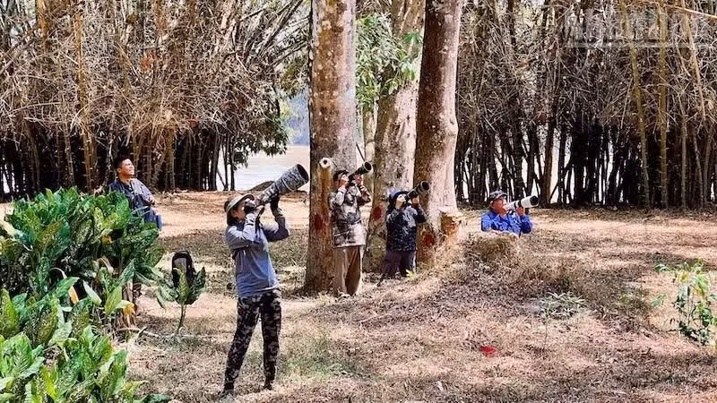 Cat Tien National Park is considered an ideal destination for wildlife photography enthusiasts. (Photo: My Hanh)