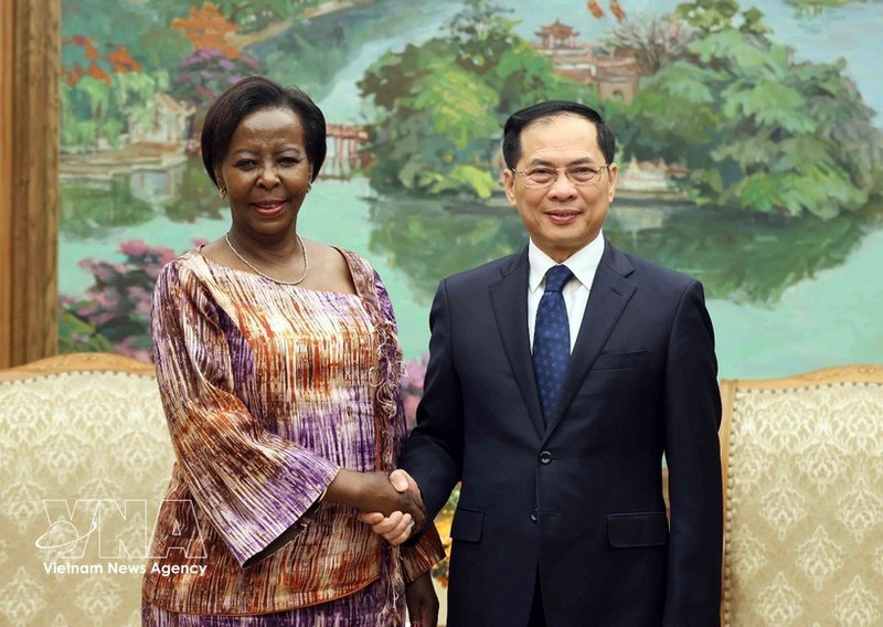 Deputy Prime Minister Bui Thanh Son (R) and Secretary-General of the International Organisation of La Francophonie Louise Mushikiwabo at their meeting in Ha Noi on March 6 (Photo: VNA)