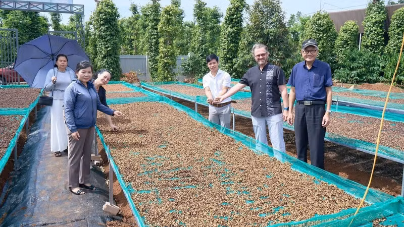 Businesses in Dak Lak are increasingly focusing on processing to enhance coffee quality for global markets.