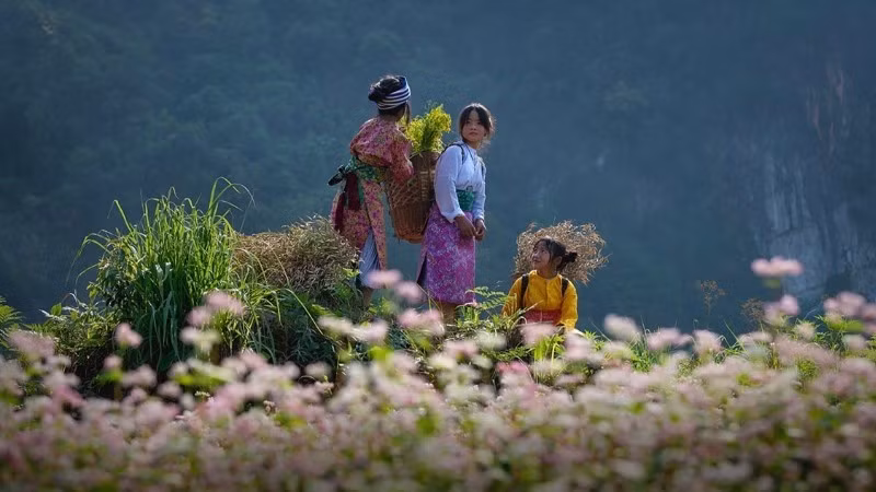 The 2026 Viet Nam Ethnic Groups’ Cultural Day (April 19) will be held from April 17 to 19 at the Viet Nam National Village for Ethnic Culture and Tourism.
