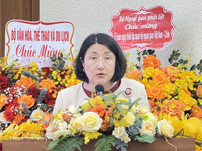 Chilean Ambassador to Viet Nam Nasly Bernal Prado speaks at the friendship meeting marking the 55th anniversary of bilateral diplomatic ties on March 25. (Photo: VNA)
