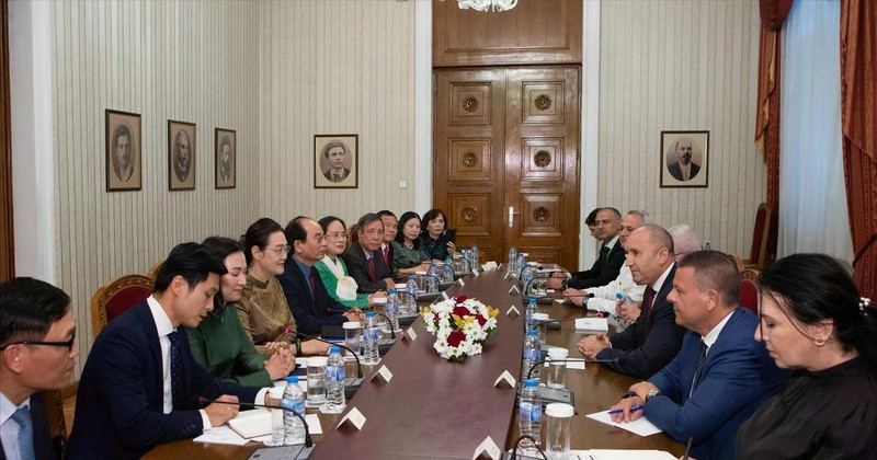 The meeting between Bulgarian President Rumen Radev and the Vietnamese delegation in Sofia on June 4. (Photo: VNA) 