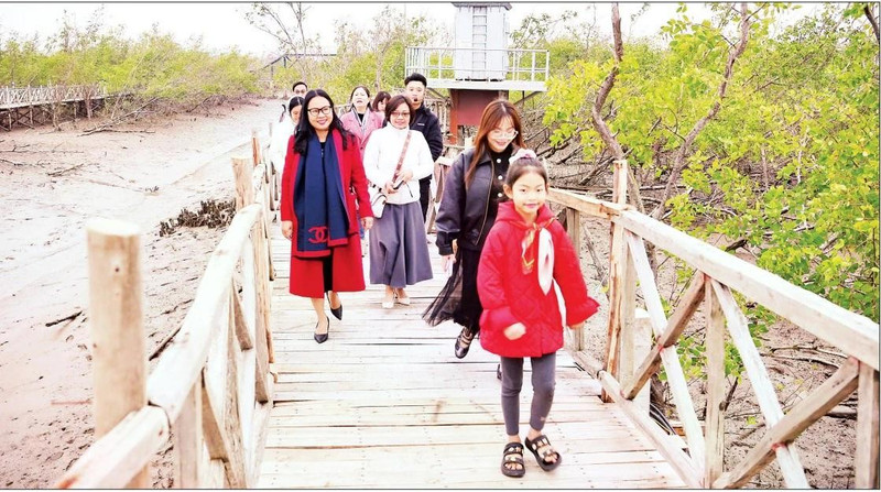 Tourists visit the mangrove forest at Dragon Hill, Do Son Ward, Hai Phong City. (Photo: NGUYEN DANG)