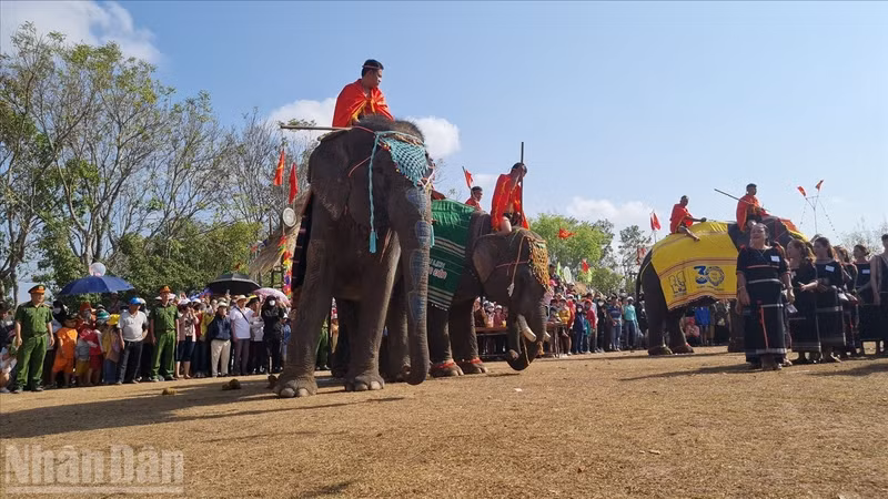 Dak Lak is also famous as a land of elephant hunting and domestication.