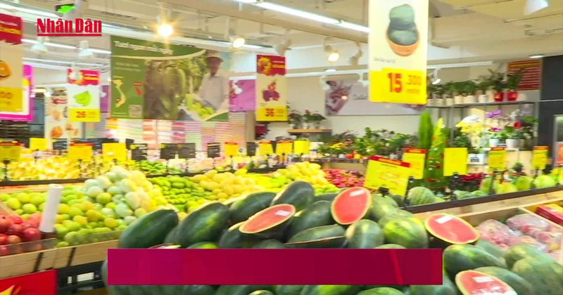 Opportunities for domestic retail chains to accelerate amid the wave of modernisation. (Source: NDO)