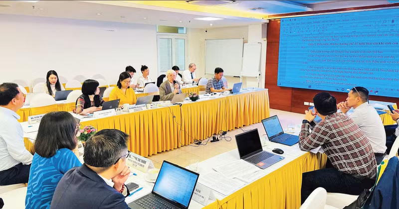 A discussion on the draft Decree guiding the implementation of the Law on Population by experts from the Ministry of Health.