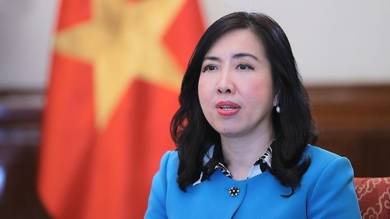 Deputy Minister of Foreign Affairs Le Thi Thu Hang (Photo: VNA) 