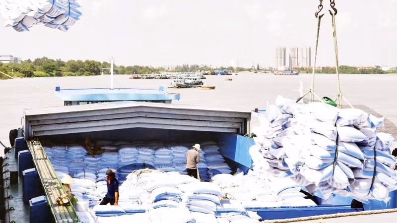 Loading rice for export at a port operated by an enterprise in Ho Chi Minh City. (Photo: ANH DUC)