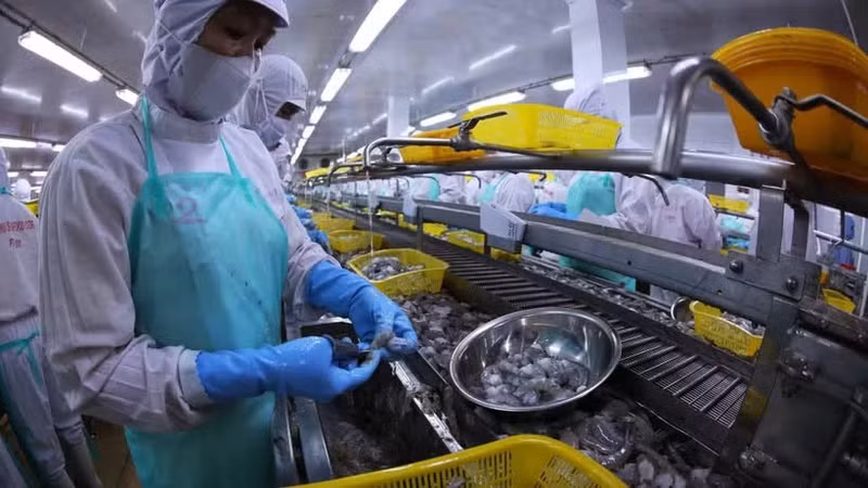 The agriculture, forestry, and fisheries sector grows by 3.58%. (Photo: VNA)