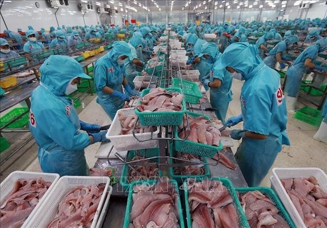 Workers process aquatic products for export. (Photo: VNA)