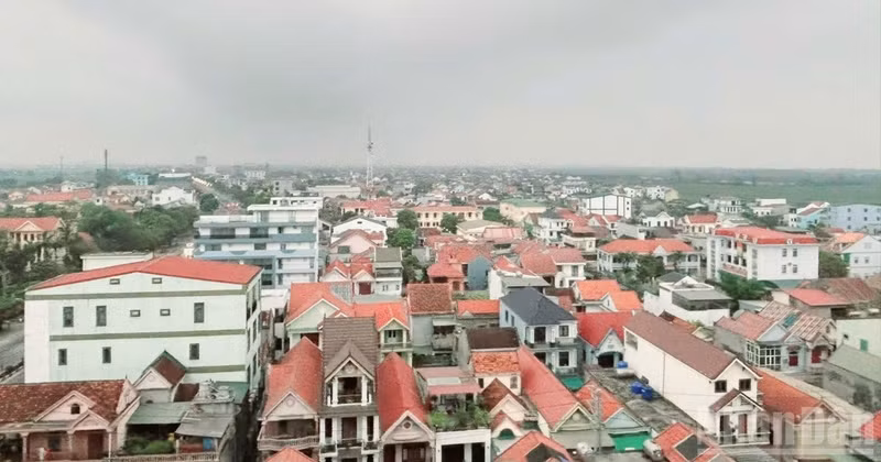 The market is moving into a restructuring phase towards greater transparency and sustainability. (Photo: NDO)