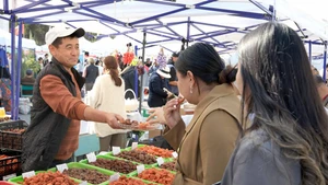 People select agricultural products at an agro-industrial exhibition and agricultural fair in Bishkek, Kyrgyzstan, Oct. 17, 2025. A three-day agro-industrial exhibition and agricultural fair opened here on Friday, bringing together exhibitors from various regions of the country. It aims to showcase Kyrgyzstan's agricultural development achievements and strengthen agricultural exchanges and cooperation among regions. (Photo: Xinhua)