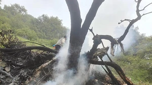 This photo shows the site of a private chopper crash in India's northern hilly state of Uttarakhand on June 15, 2025. Seven people, including two children, the pilot and four male passengers, were dead in the private chopper crash in India's northern hilly state of Uttarakhand early on Sunday, a senior state government official said. (IANS/Handout via Xinhua)